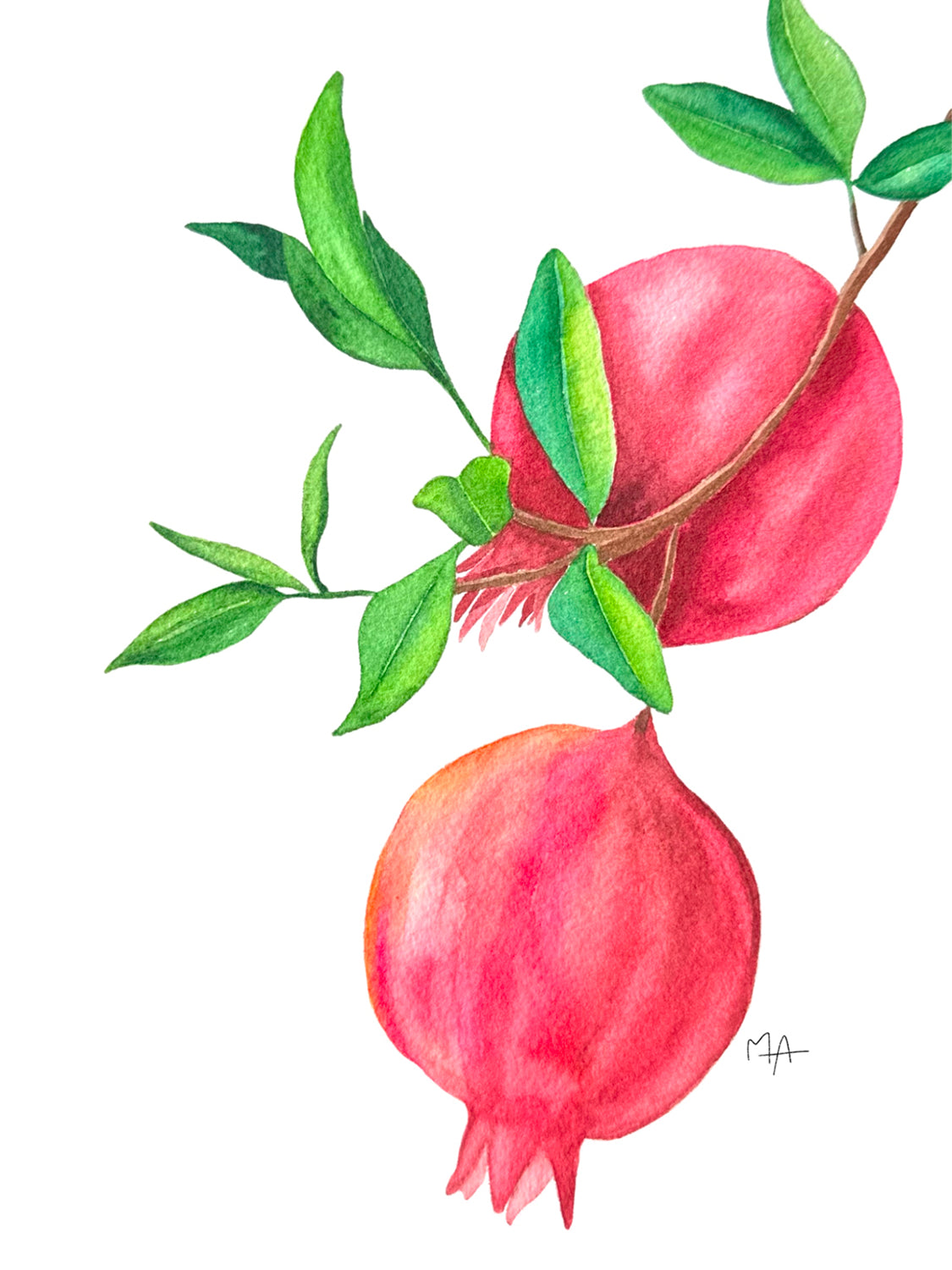 Les fruits