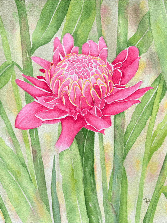 Affiche - Rose de porcelaine