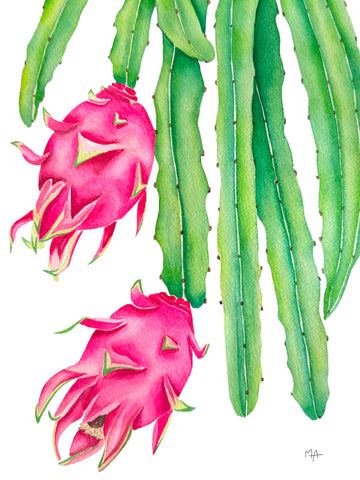 Affiche - Pitayas