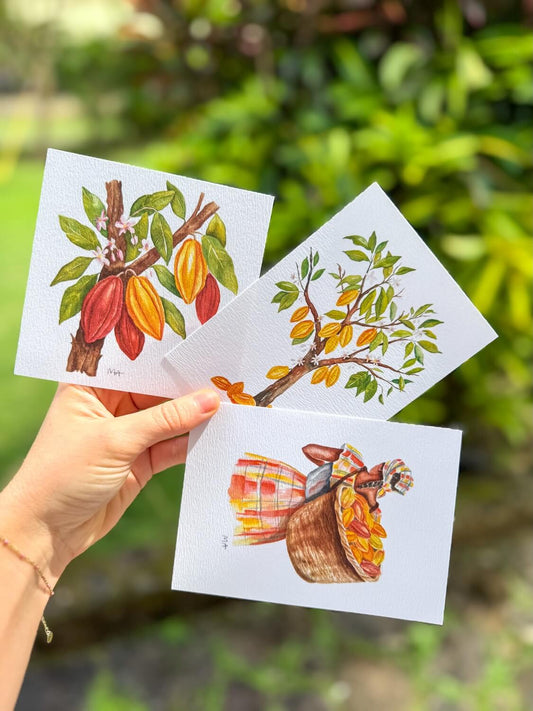 Carte - Cacaoyer