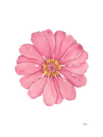Affiche - Fleur fraîche