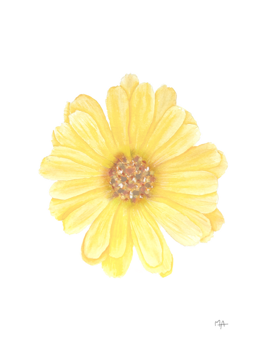 Affiche - Fleur jaune