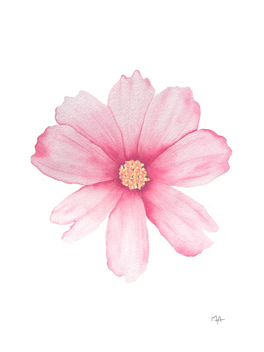 Affiche - Fleur rose