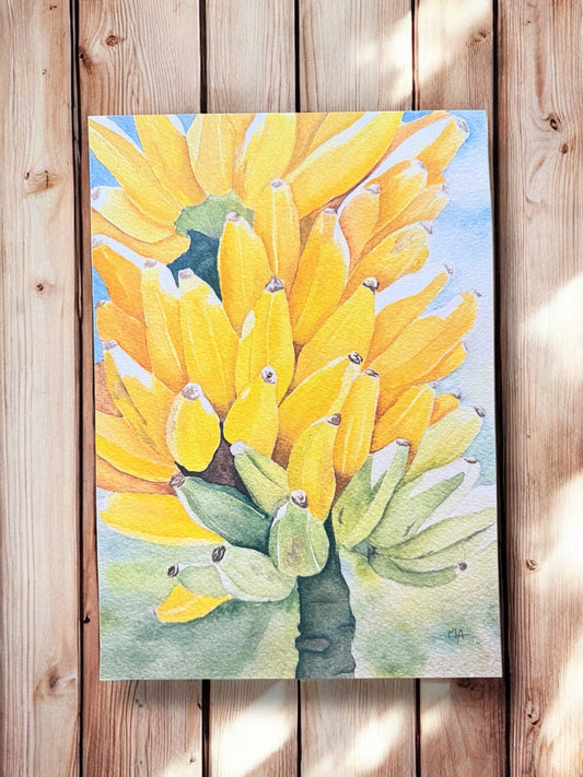 Affiche - Régime de bananes